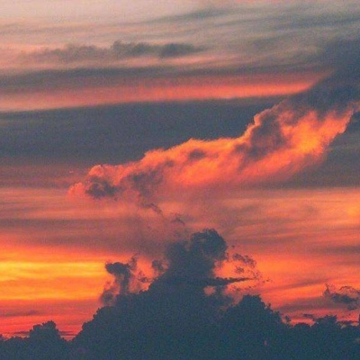 一只不会打球的女生